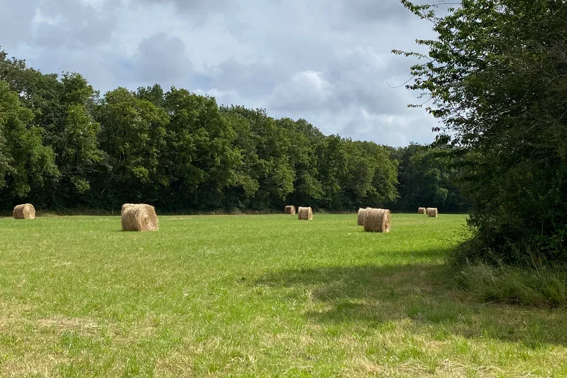 la grande chenaye — photo 1