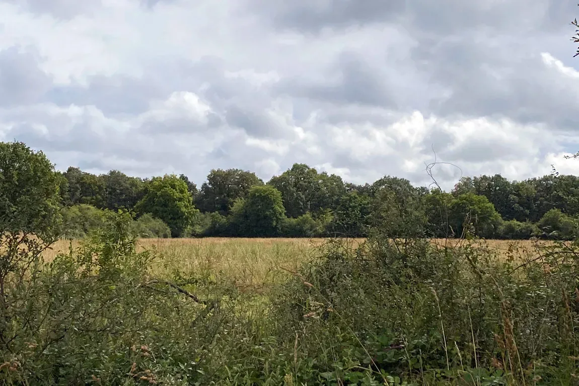 la grande chenaye — photo 3