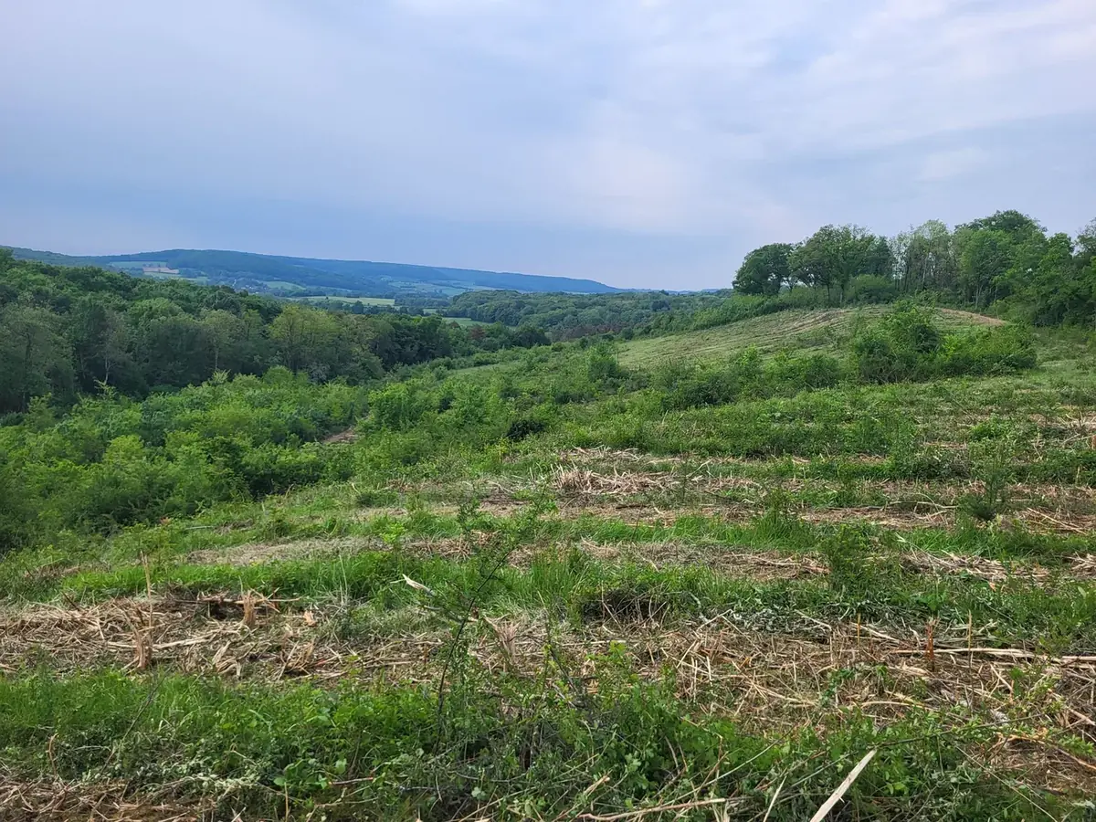 le bois de huez — photo 2