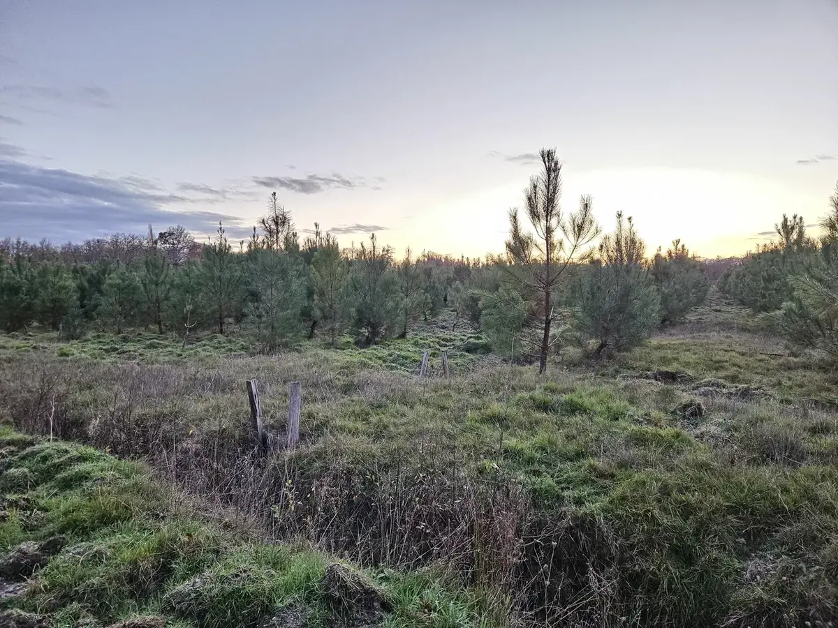 le bois de la vallotiere — photo 1