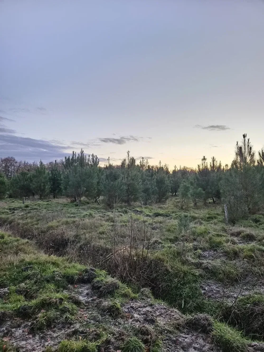 le bois de la vallotiere — photo 2