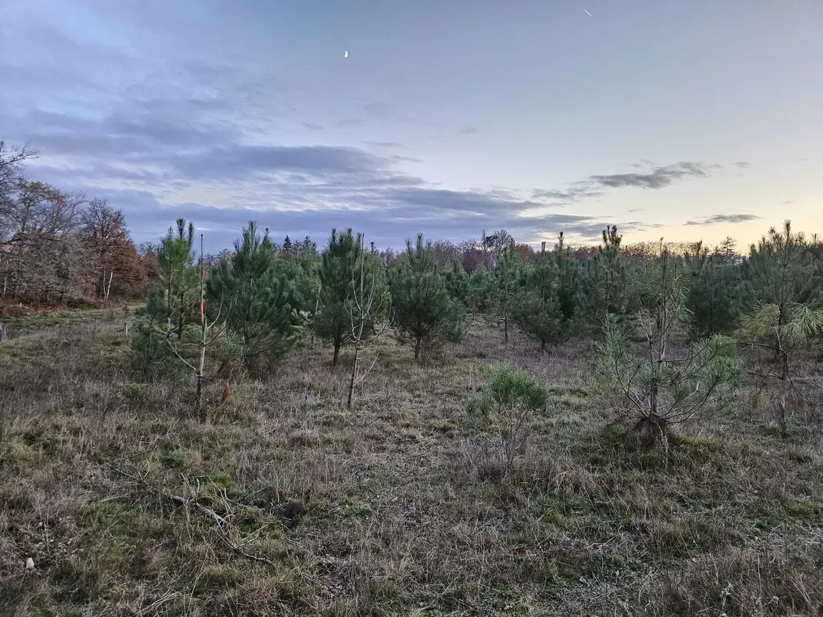 le bois de la vallotiere — photo 3