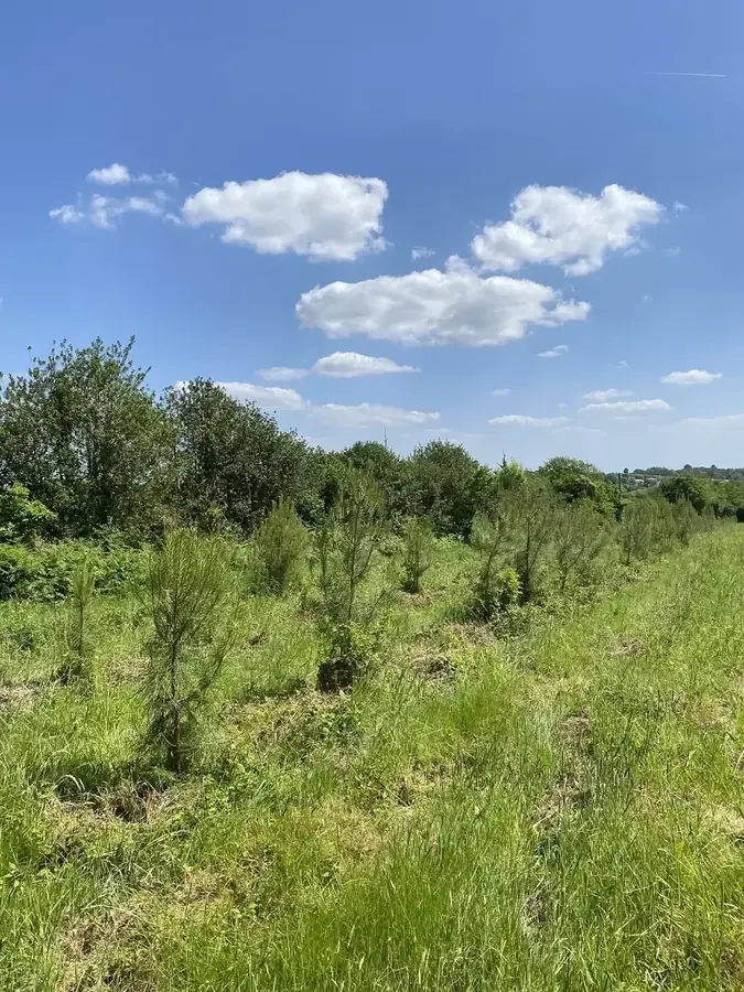 le bois de la bavriere — photo 3