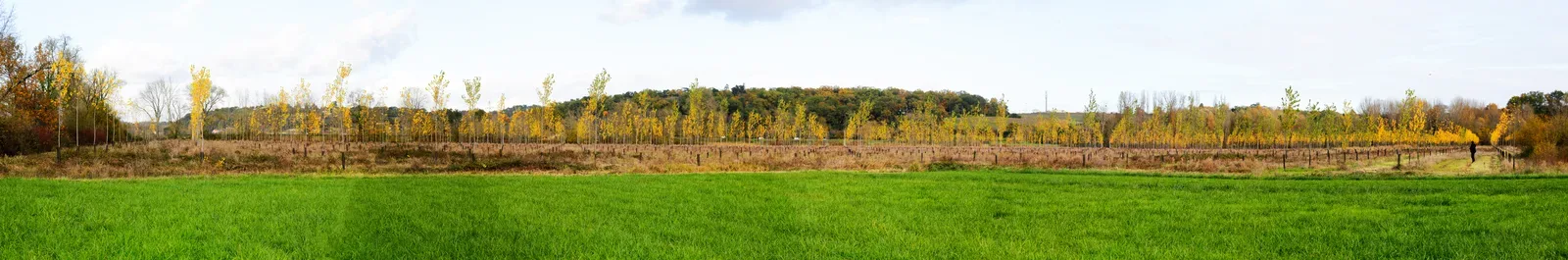 le bois du griffon — photo 4