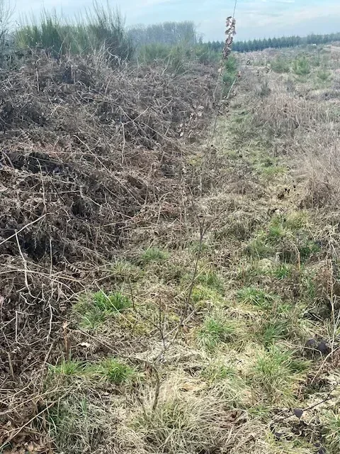 le bois de charnouveau — photo 5