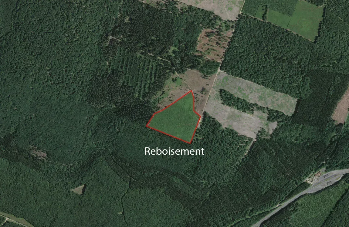 le bois de sedan — photo 2