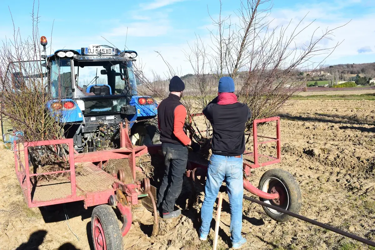 les vergers de la plaine — photo 2