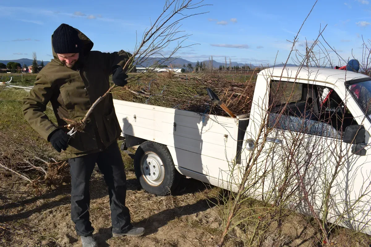 les vergers de la plaine — photo 3