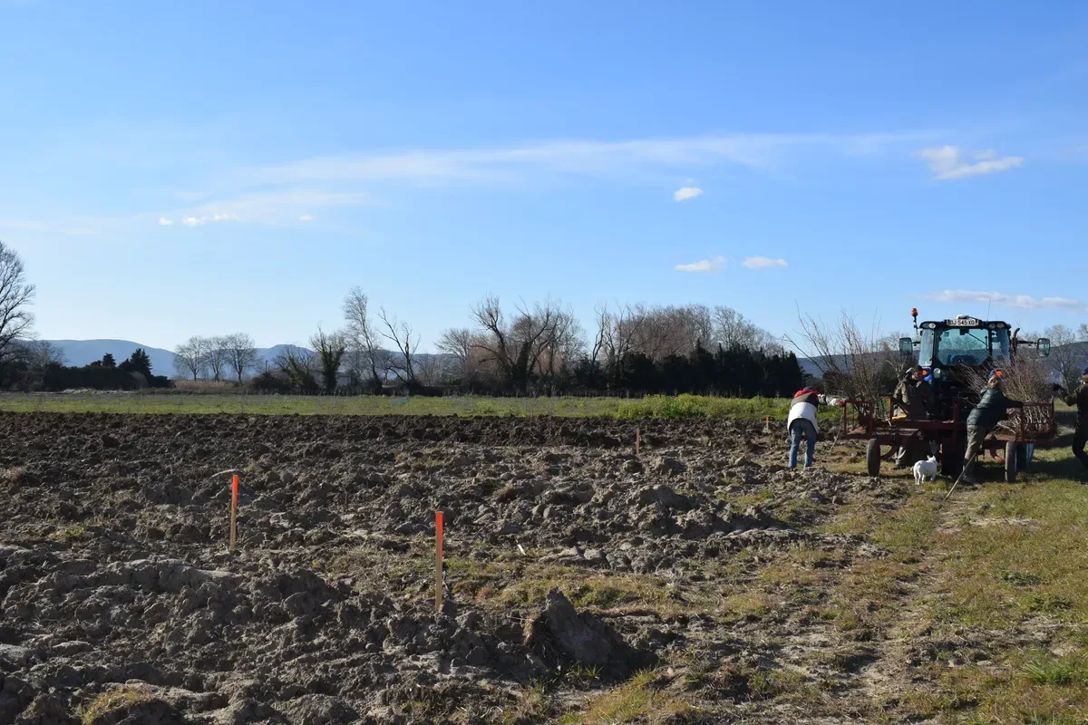 les vergers de la plaine — photo 4