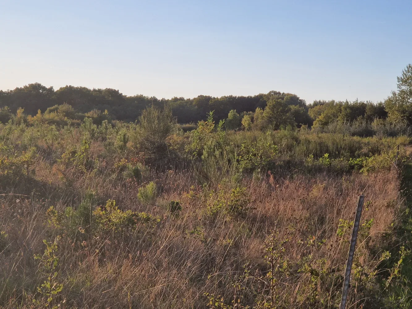 le bois joubert — photo 3