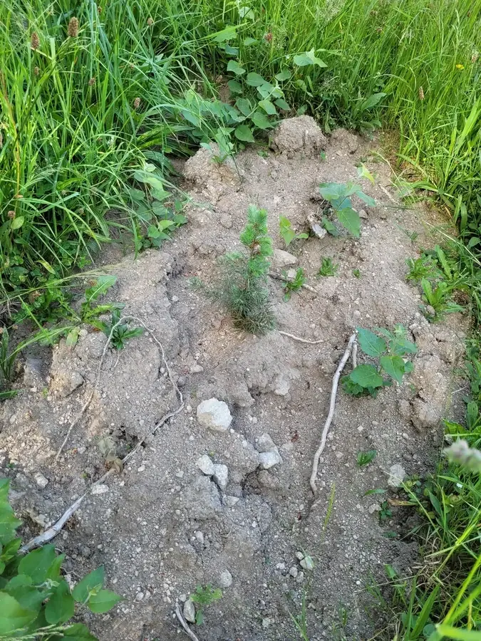 le bois de dun — photo 2