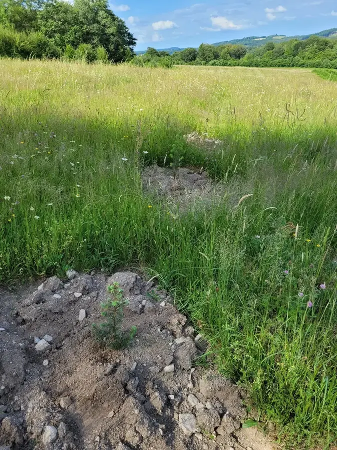 le bois de dun — photo 4