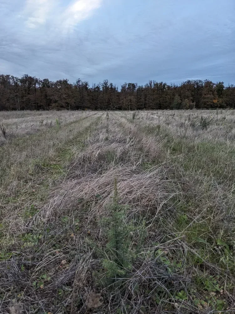 le bois de l abbaye — photo 3