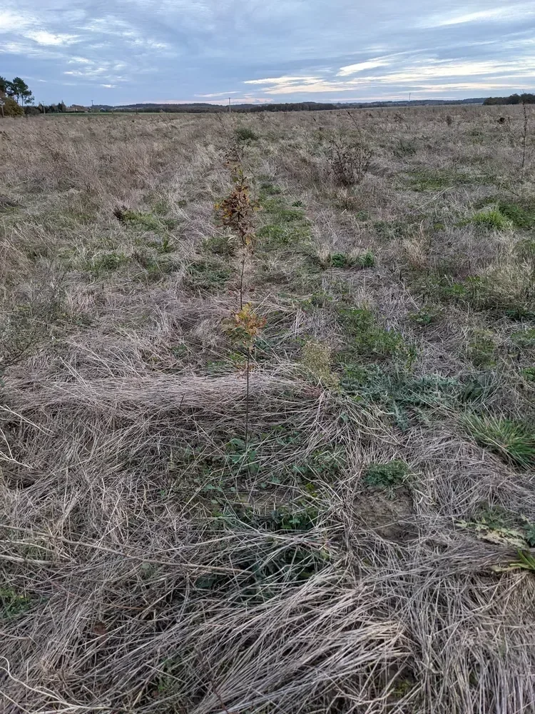 le bois de l abbaye — photo 4