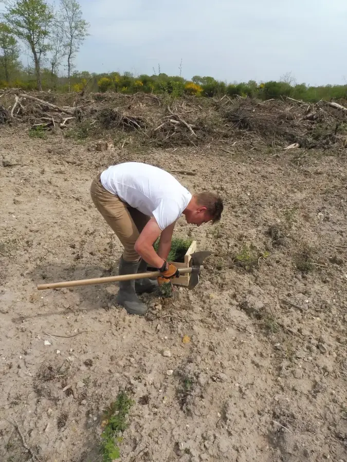 le bois de la maison rouge — photo 2