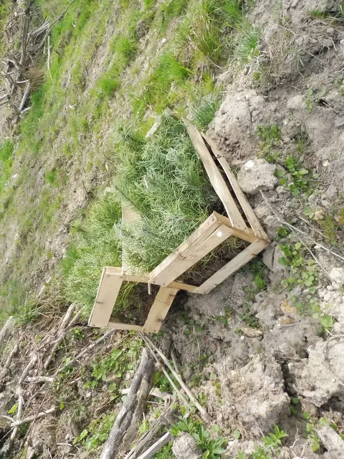 le bois de la maison rouge — photo 3