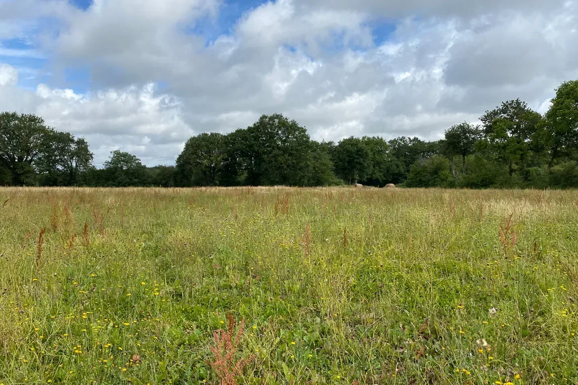 le bois de saint hubert — photo 4