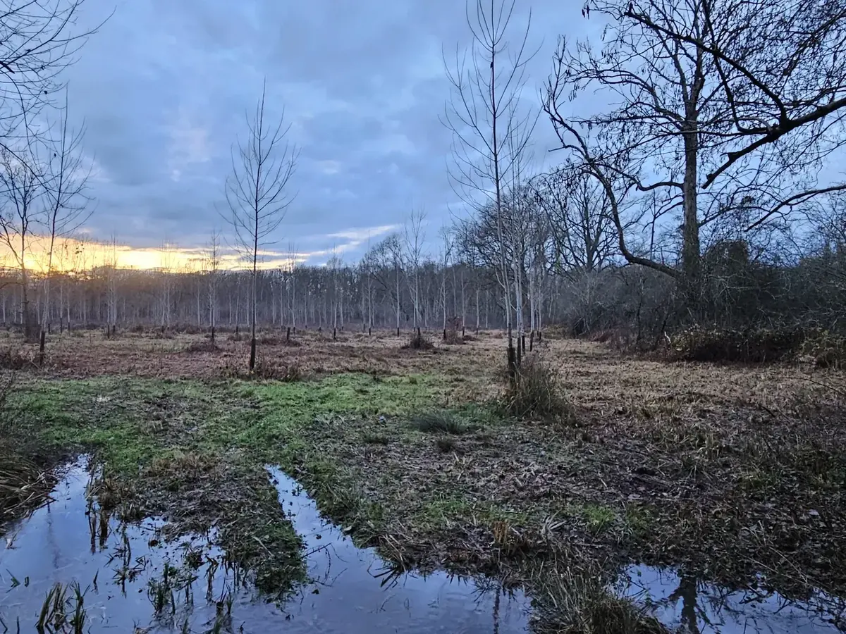 le bois de l harmenault — photo 4