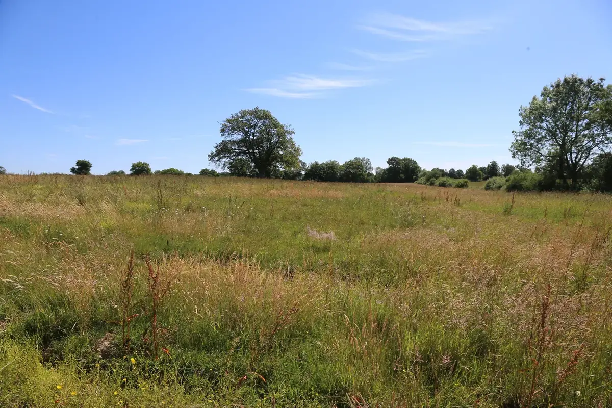 le bois de la persais — photo 2