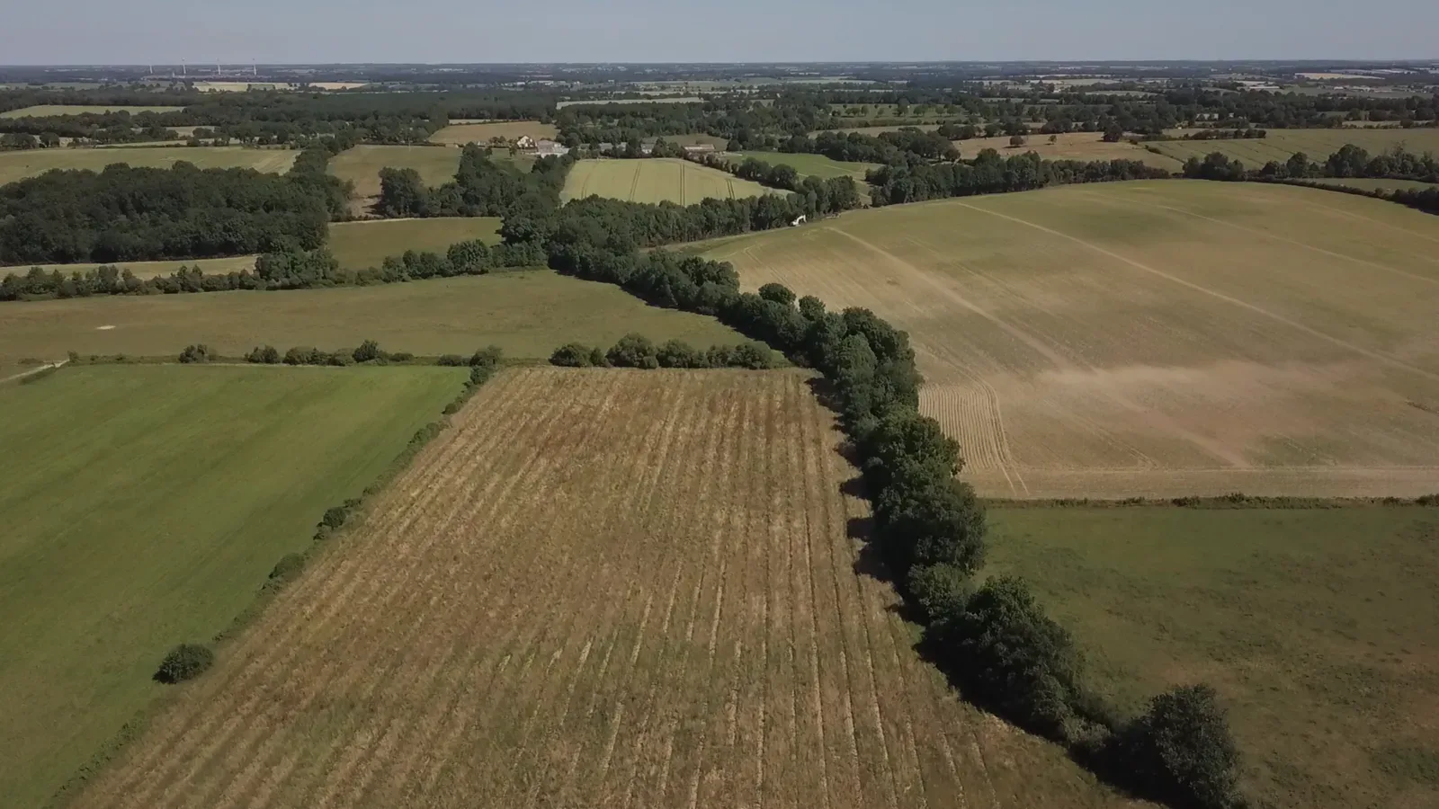 le bois de la persais — photo 5