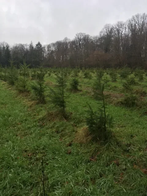 le bois de la vallee — photo 1