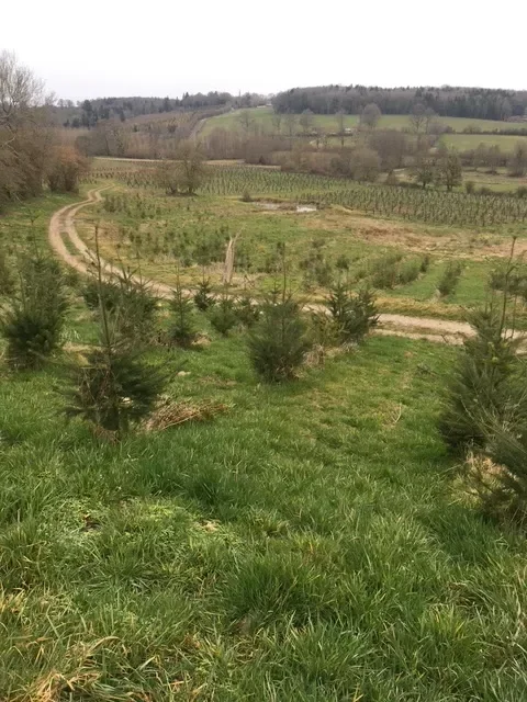 le bois de la vallee — photo 4