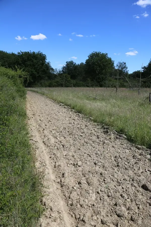 le bois du dolmen — photo 5