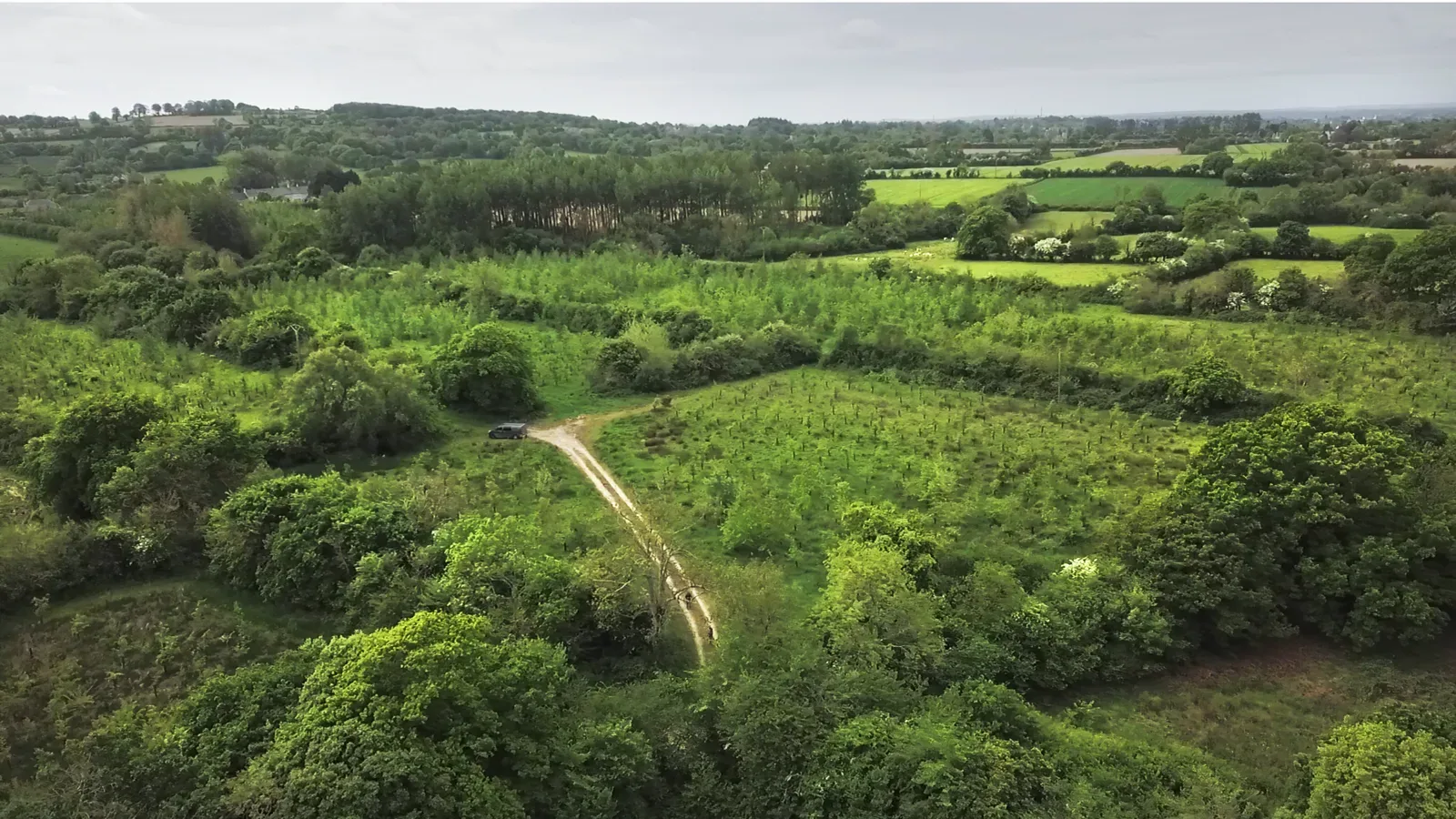 le bois de la fauquerie — photo 5