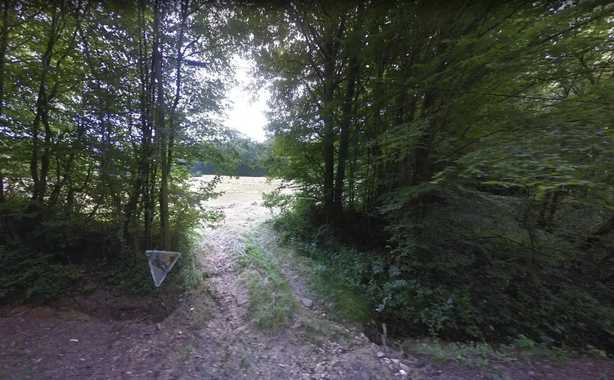 le bois duval — photo 1