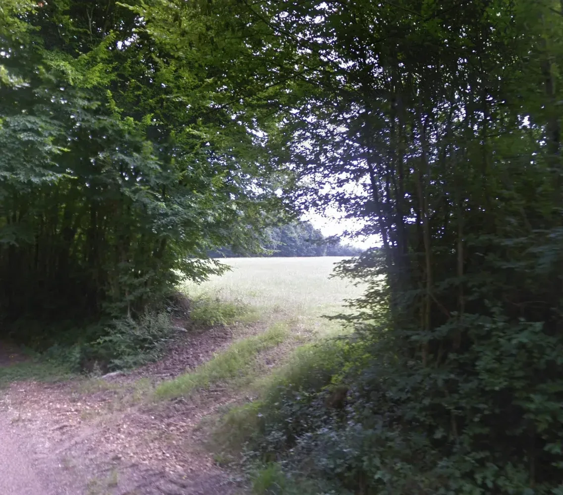 le bois duval — photo 2