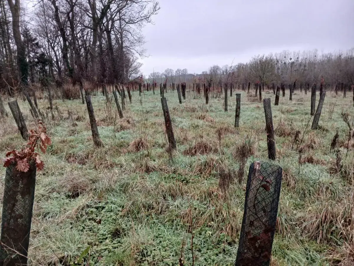le bois des batailles des tres saints — photo 2