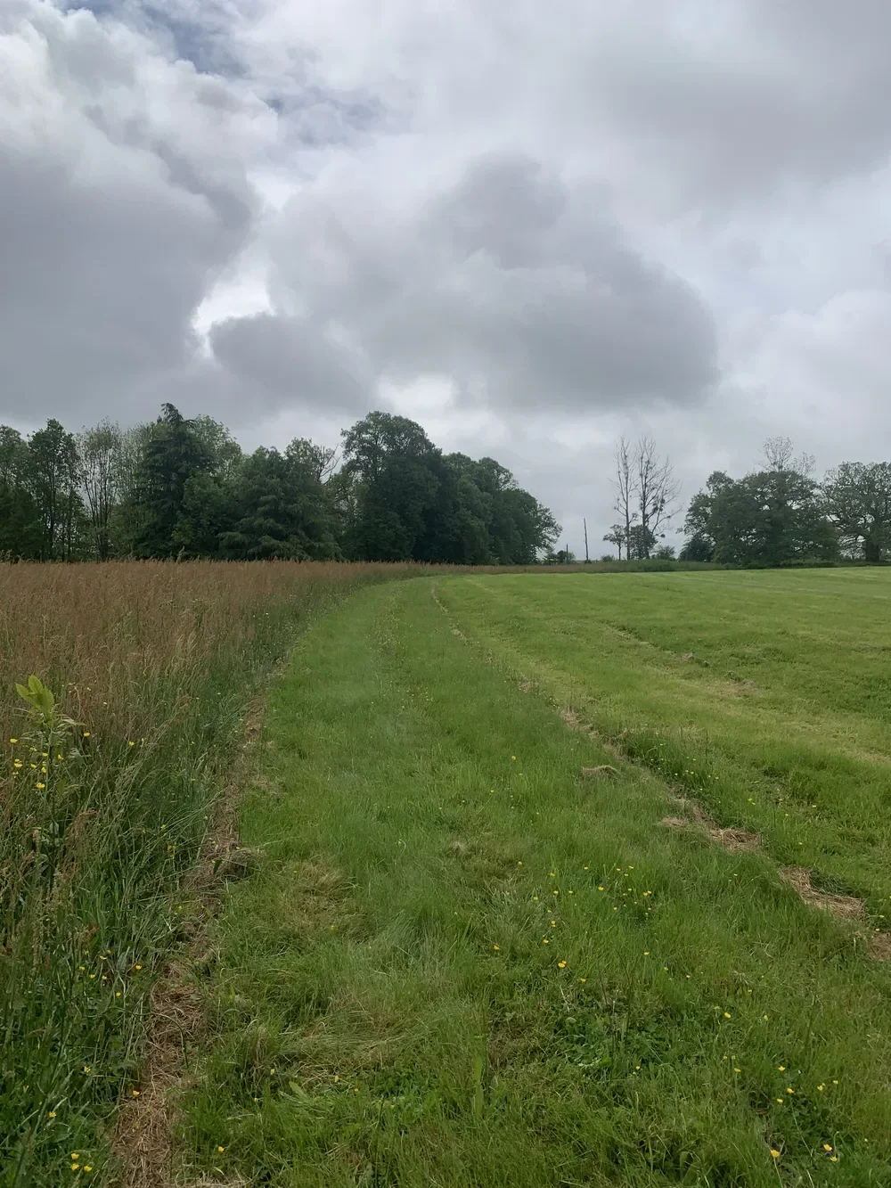 le bois de la menaudiere — photo 2