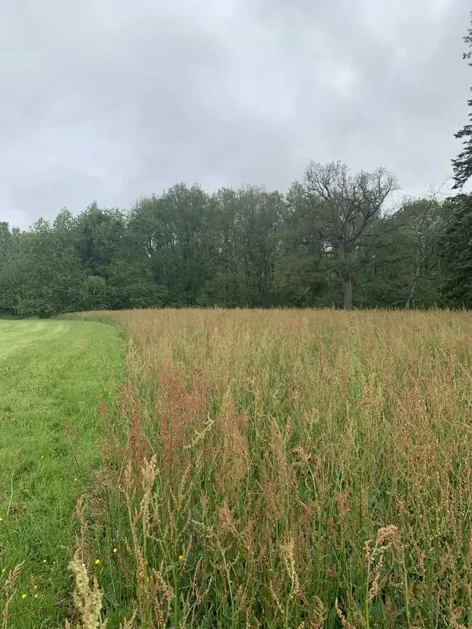 le bois de la menaudiere — photo 3