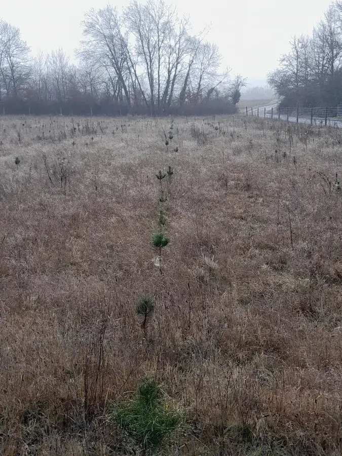 le bois des noyers — photo 2