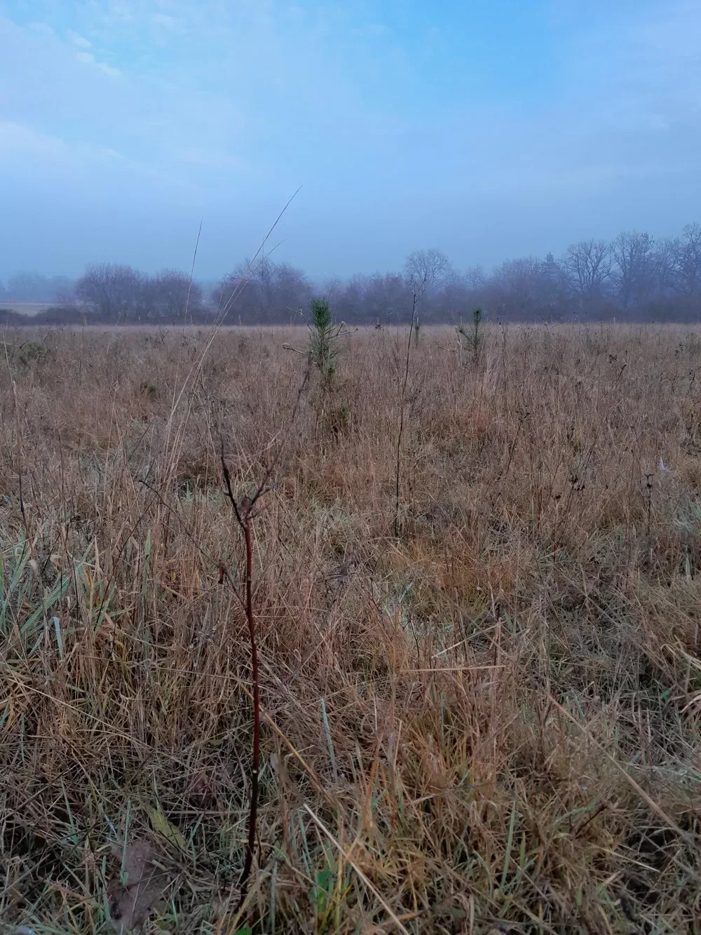 le bois des noyers — photo 3