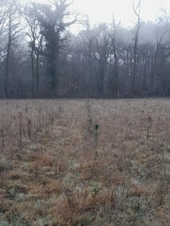 le bois des noyers — photo 4