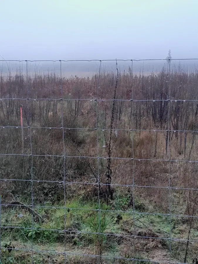 le bois des noyers — photo 5