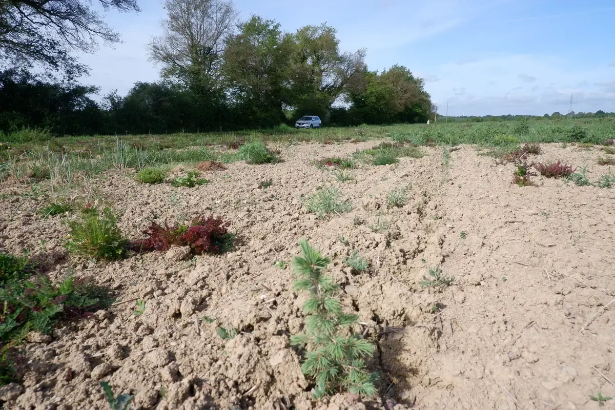 le bois des ruaults — photo 5