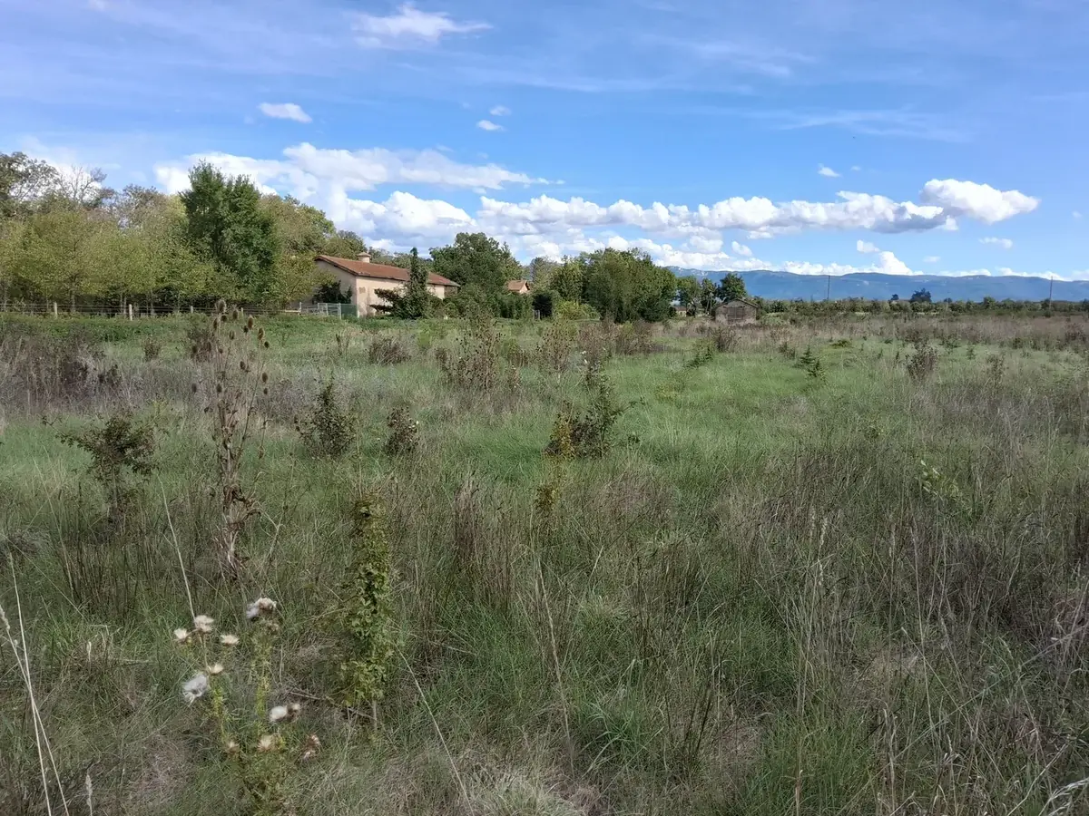 le bois d alix — photo 2