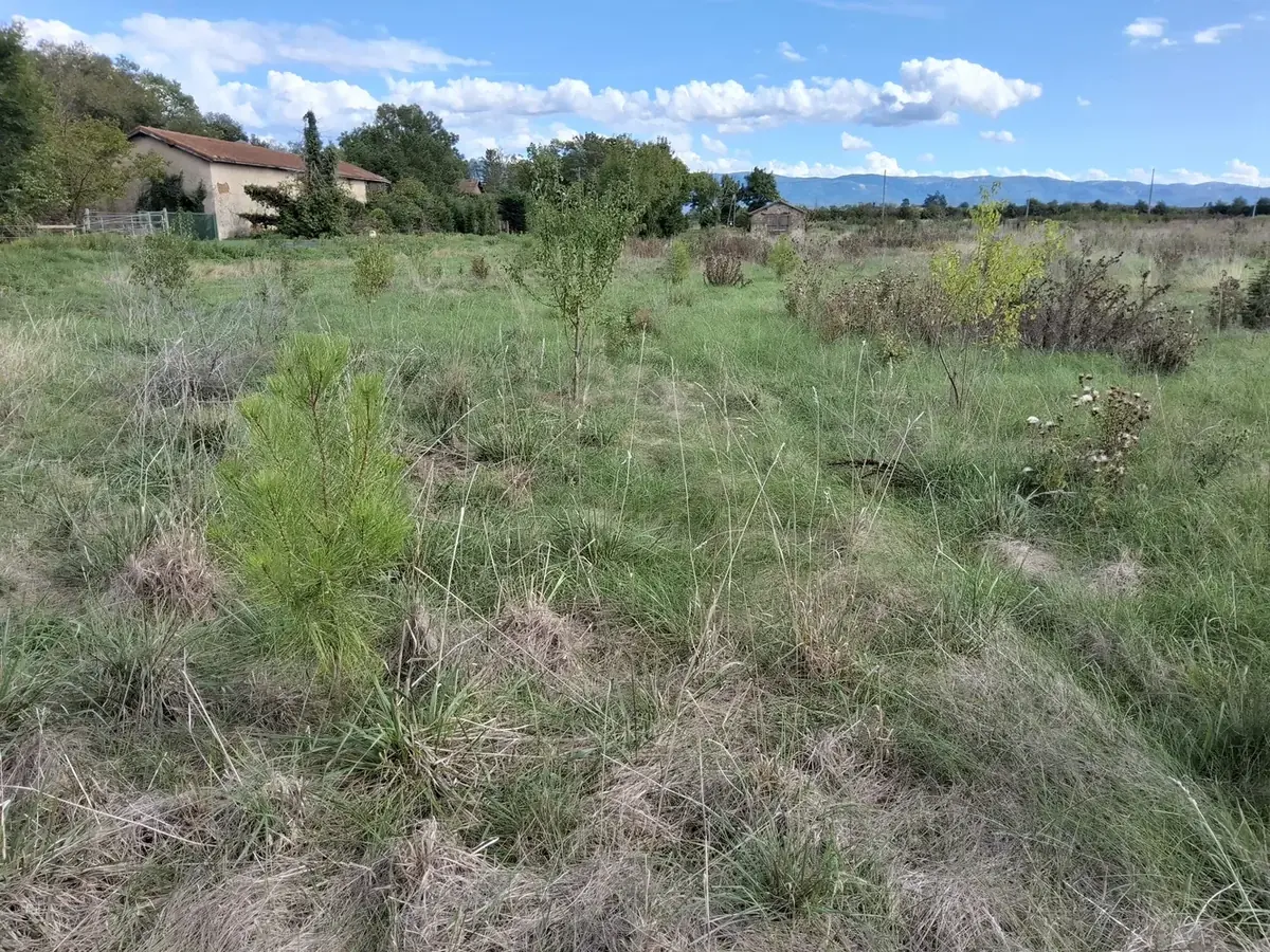 le bois d alix — photo 4