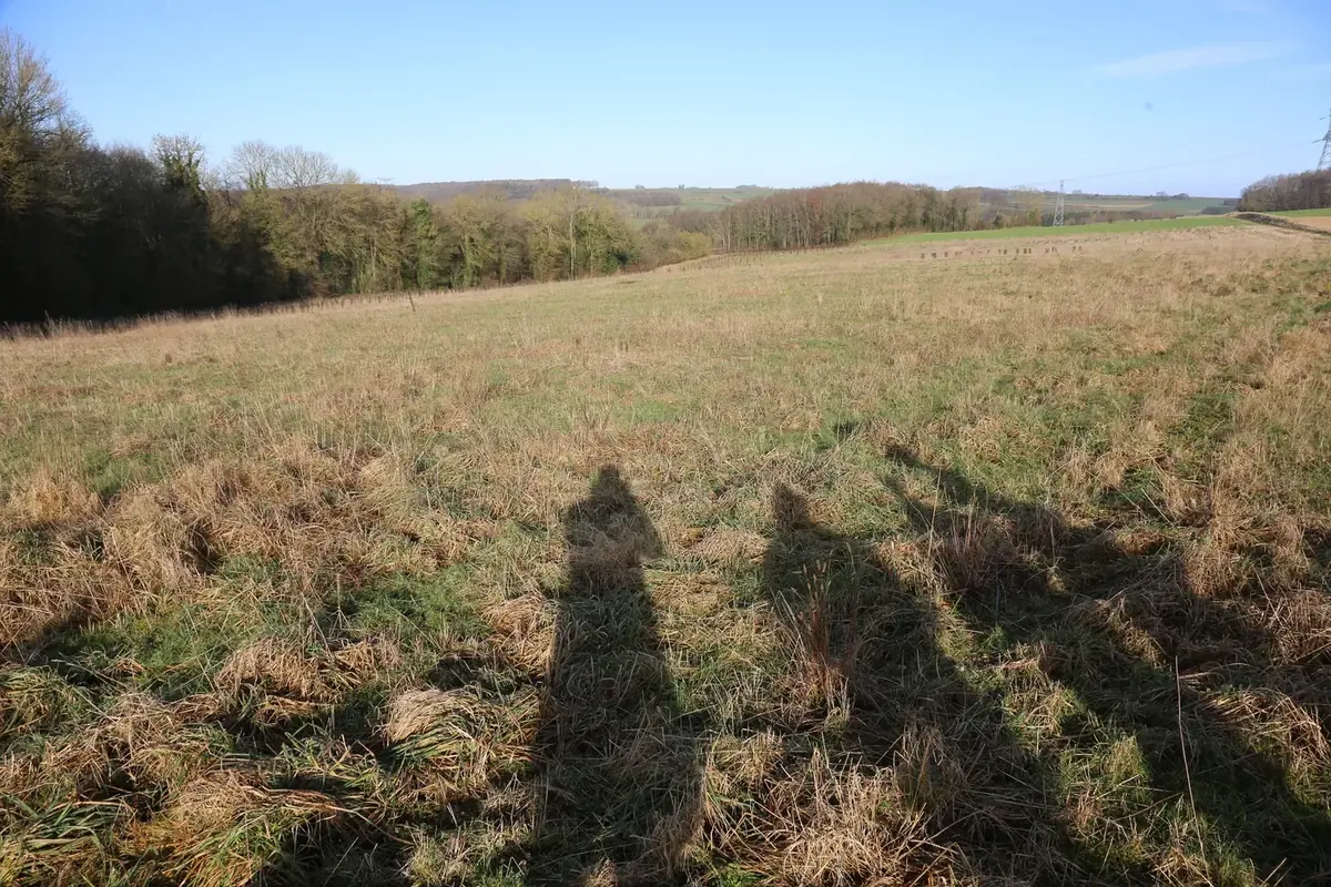 le bois de la loge — photo 2