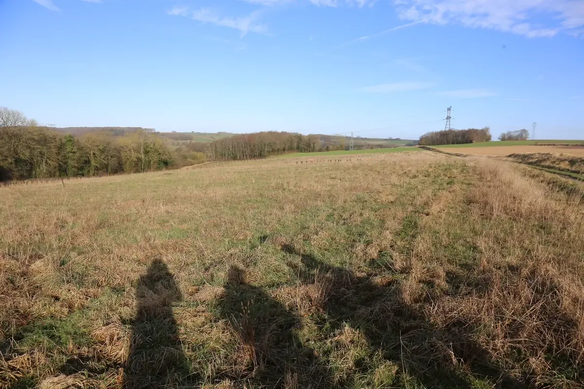 le bois de la loge — photo 3