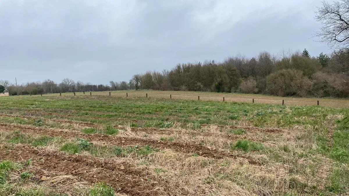 le bois de la croix sainte anne — photo 1