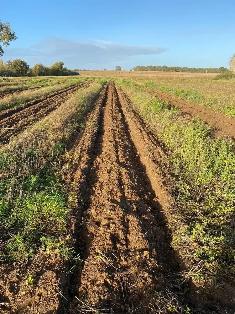 le bois de la croix sainte anne — photo 2