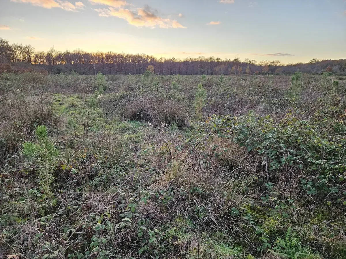 le bois des grottes — photo 1