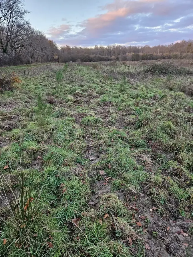le bois des grottes — photo 2