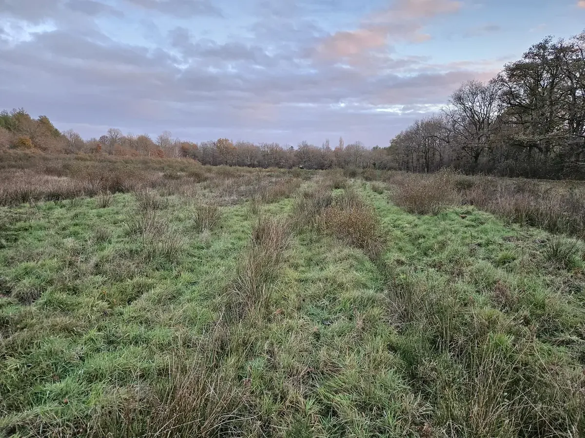 le bois des grottes — photo 3