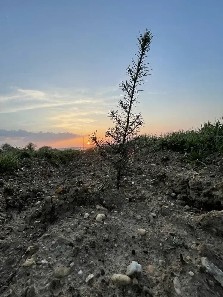 le bois de la chesnaie — photo 3