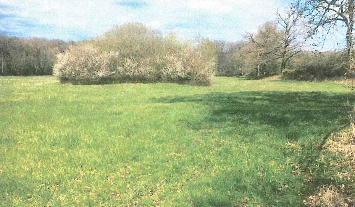 le bois de la roquette — photo 2