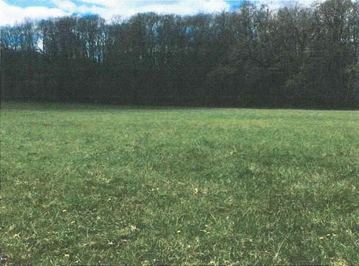 le bois de la roquette — photo 3